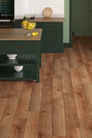 IN_SEE_Giant_1233_4V_Red_Oak